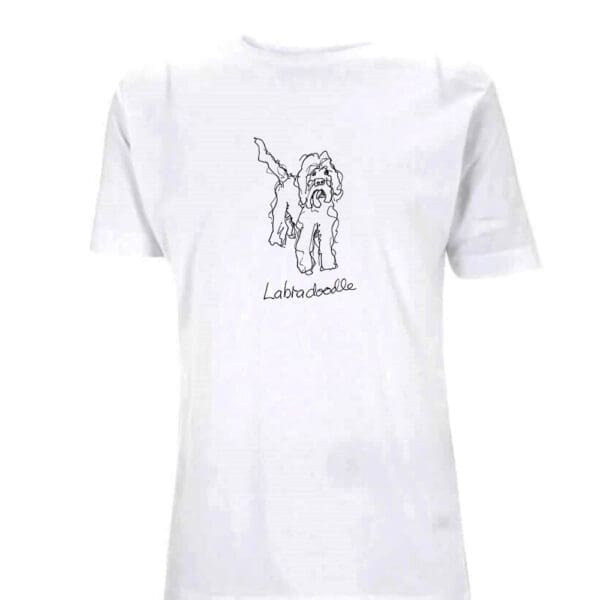 Labradoodle - Image 11