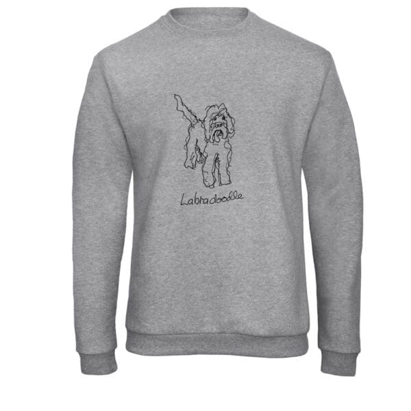 Labradoodle - Image 13