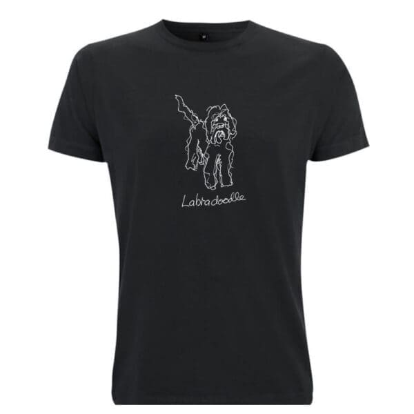 Labradoodle - Image 21