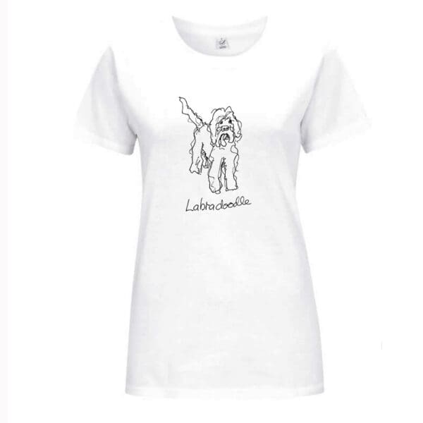 Labradoodle - Image 5