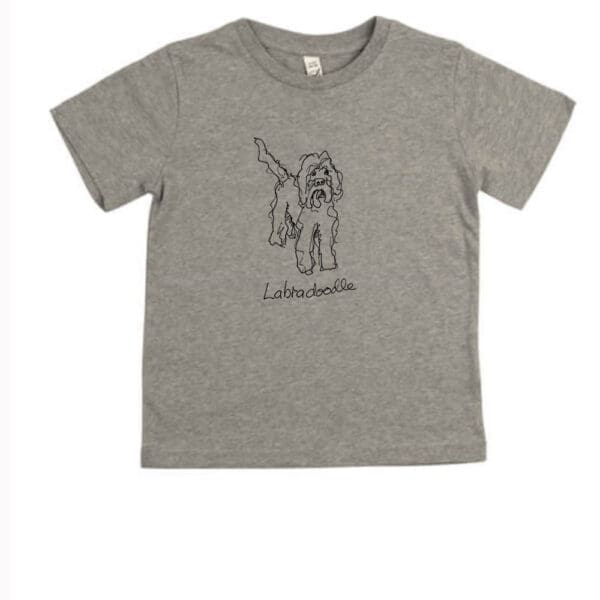 Labradoodle - Image 6