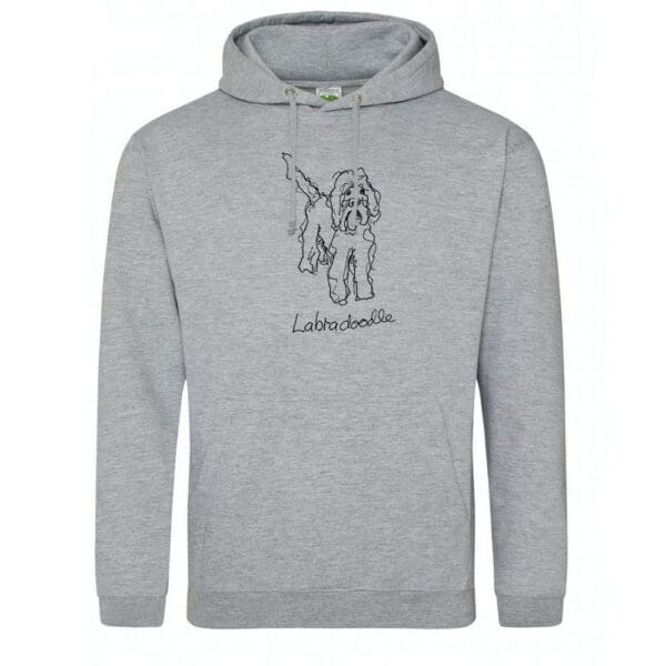 Labradoodle - Image 9