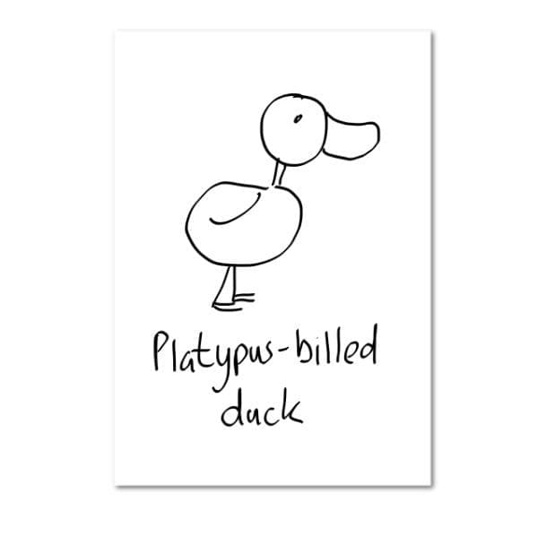 Platypus-Billed Duck Card