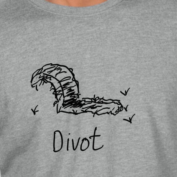 Divot