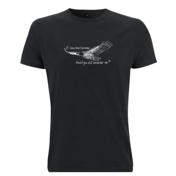Free Bird - Lynyrd Skynyrd - Image 9