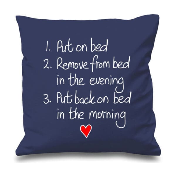 Instruction Cushion