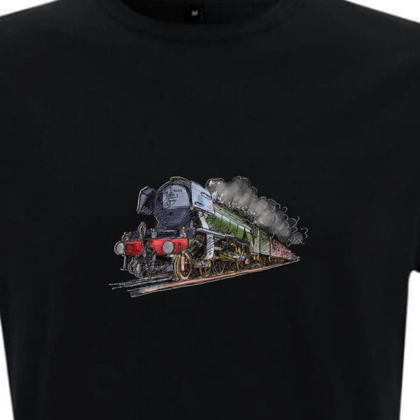 Flying Scotsman - Colour - Image 2