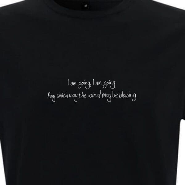 Lyrics - Streams of Whiskey - The Pogues - Image 2