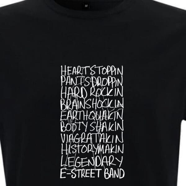 Bruce Springsteen and the E Street Band - Image 2