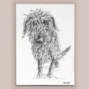 Scruffy Dog Canvas