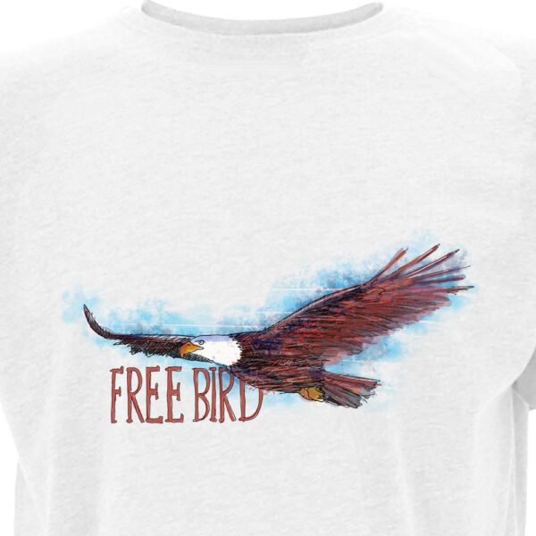 Free Bird – Lynyrd Skynyrd - Colour