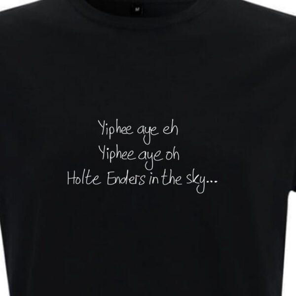 Lyrics - Holte Enders in the Sky - Aston Villa - Image 2