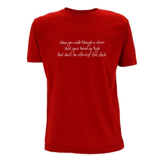 Lyrics - You'll Never Walk Alone - Liverpool FC - Image 10